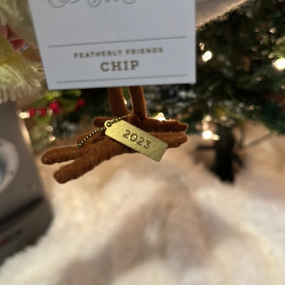 New 2023 Chip, Target Birds, Holiday, WonderShop, Featherly Friends